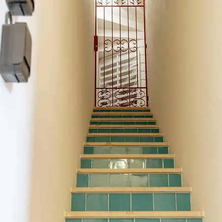 By Mycelia * Olhos de Αgua